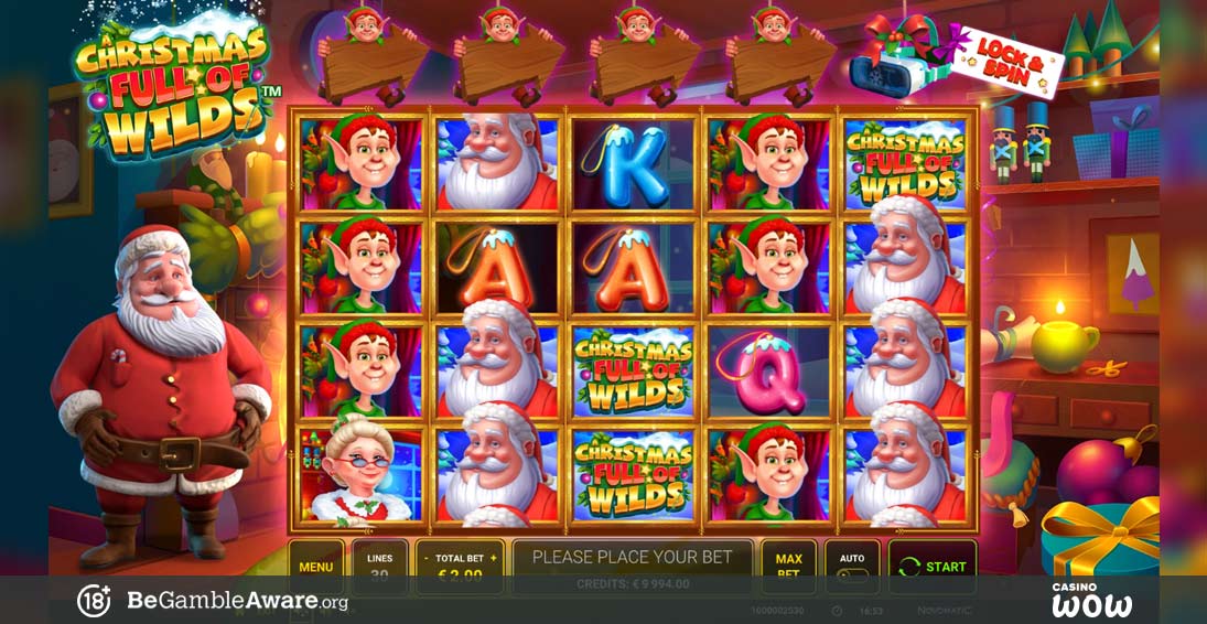 A Christmas Full of Wilds