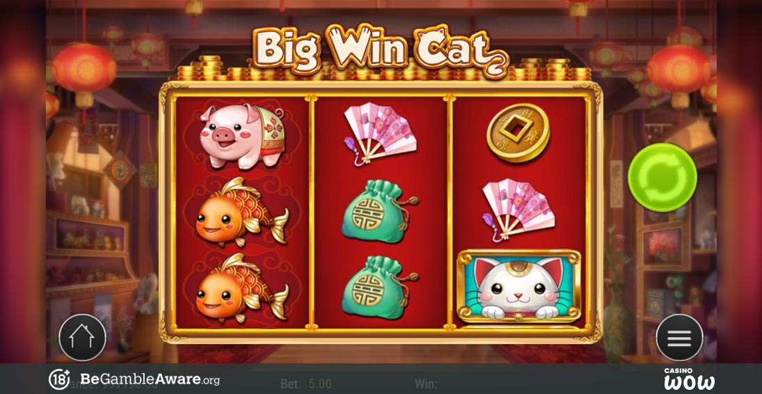 Big Win Cat