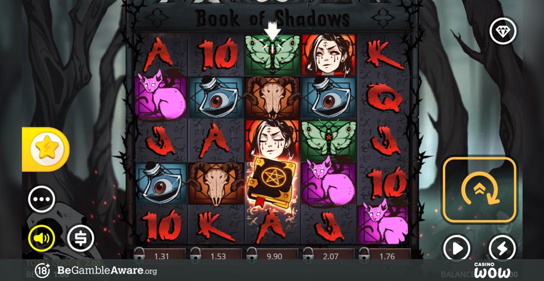 Book of Shadows