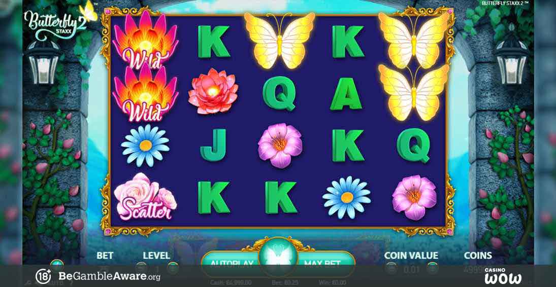 Butterfly Staxx 2