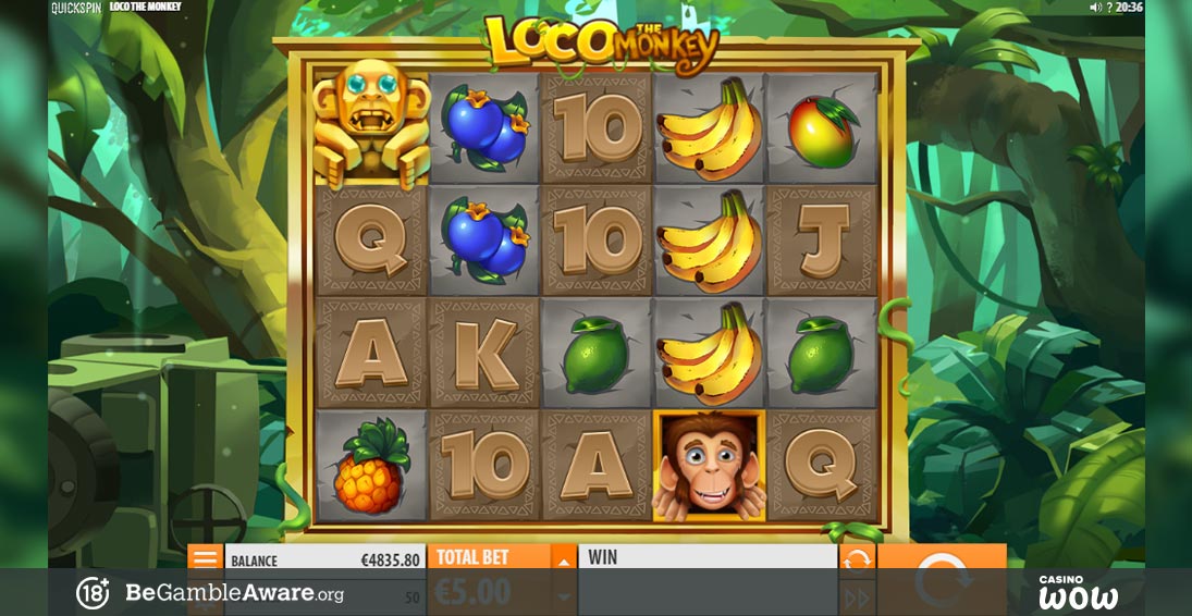 Loco the Monkey